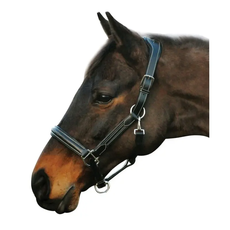 HDR Stress Free Fancy Stitch Leather Halter