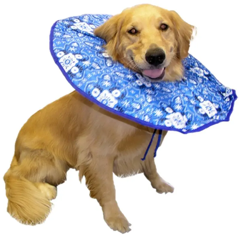 Soft E Dog Collar, XL, 75-95 lbs